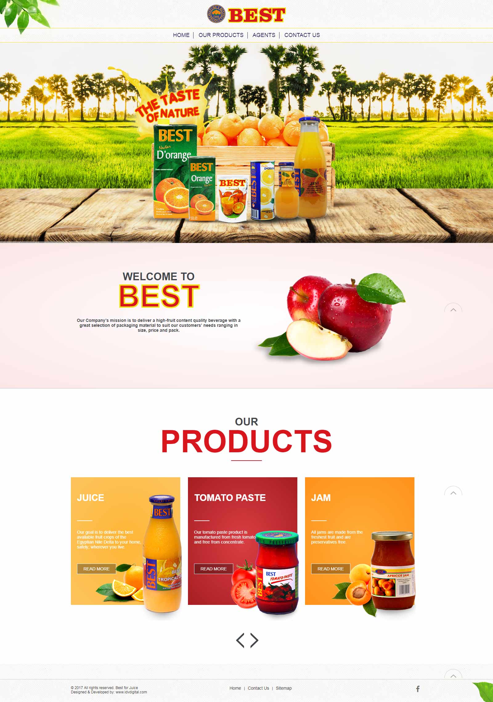 Best-web design Egypt-web design Doha