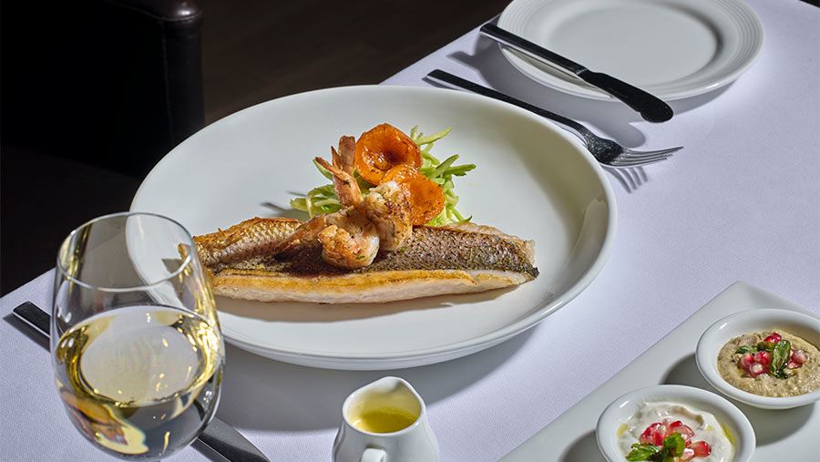 food styling - oberoi-nile cruise