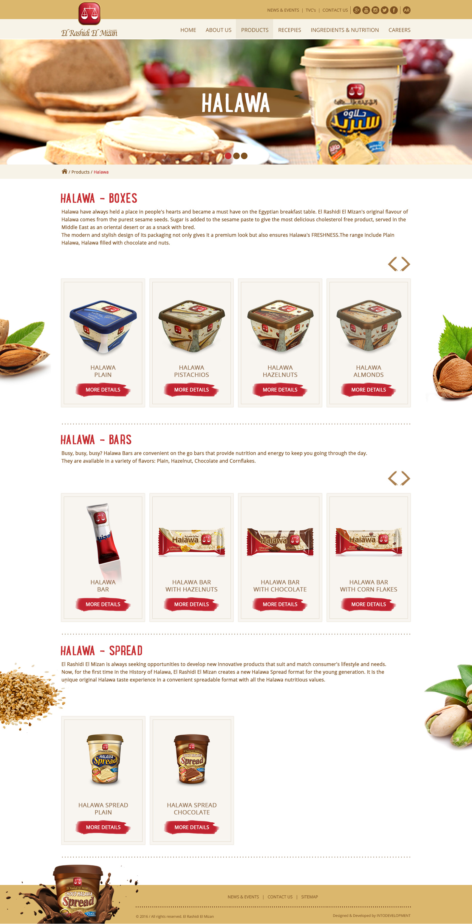 El Rashidi-products-web design Egypt-web design Doha