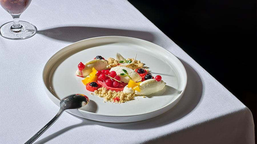 food styling - oberoi - zahra