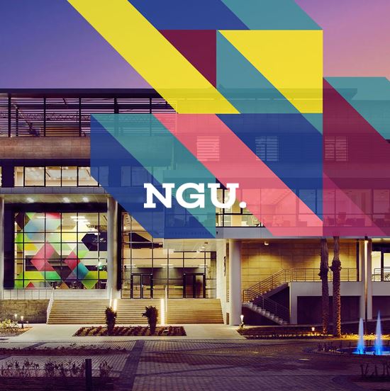 Newgiza University (NGU) 360 VR Tour