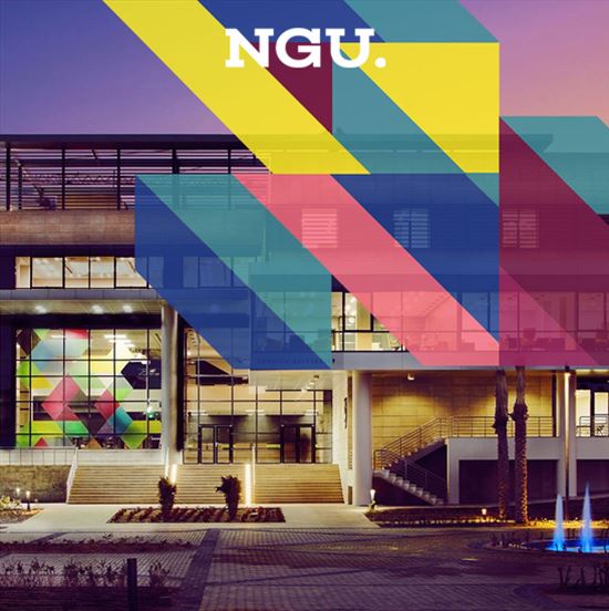 Newgiza University (NGU) 