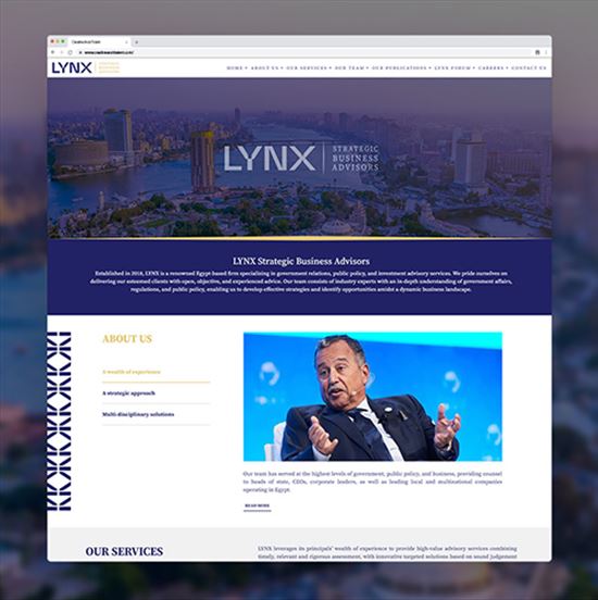 LYNX Strategic Business Advisors